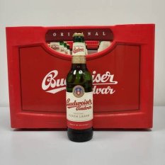 20 x BUDVAR 12° 0,5L
